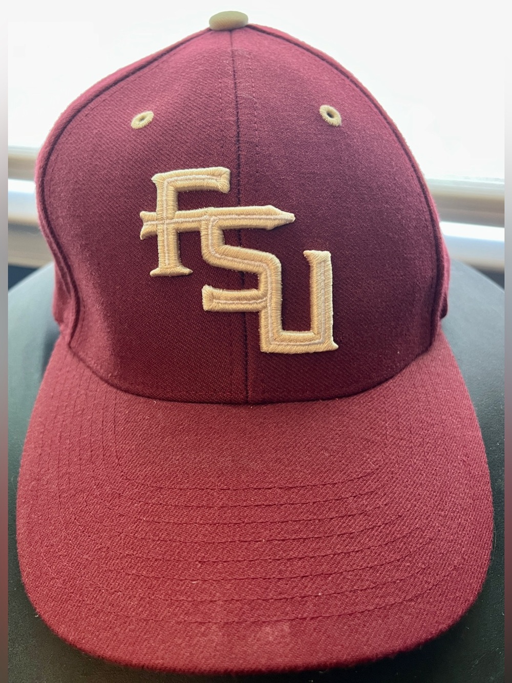 Florida State Seminoles Hat
Ball Cap adjustable strap adult NCAA Nike new no tag